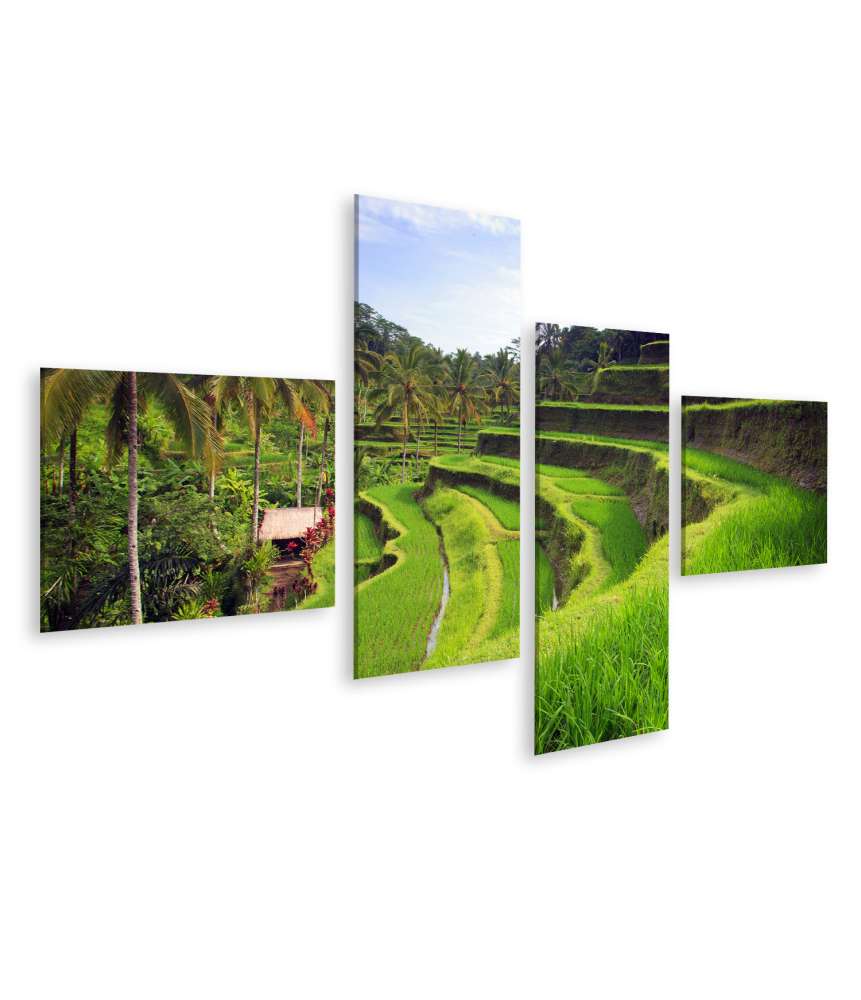 Islandburner Bild auf Leinwand Atemberaubendes Wandbild der Tegallalang Reisterrassen in Ubud, Bali