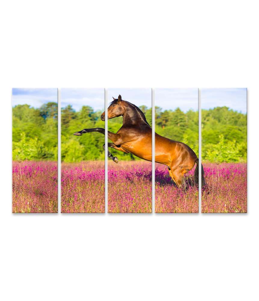 Islandburner Bild auf Leinwand Braunes Pferd majestätisch in einem farbenfrohen Blumenfeld dargestellt