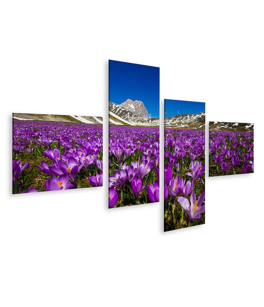 Islandburner Bild auf Leinwand Berglandschaft mit wilden Krokusblüten auf Wandteppich, Campo Imperatore, Italien