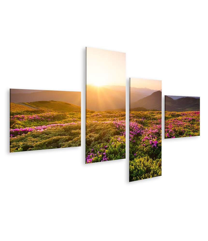 Islandburner Bild auf Leinwand Sonnenaufgang über blühenden Blumen und Berghügeln in natürlicher Landschaft