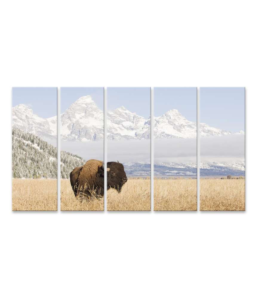 Islandburner Bild auf Leinwand Majestätisches Wandbild eines Bisons vor den Grand Teton Bergen