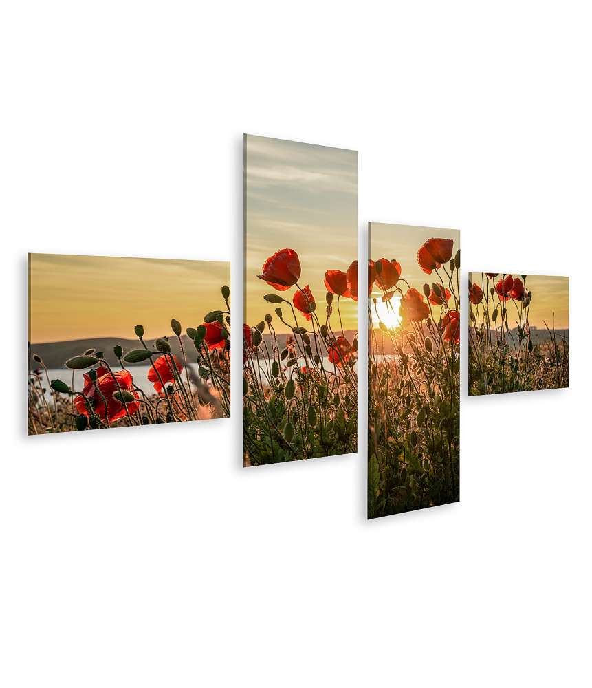 Islandburner Bild auf Leinwand Sonnenuntergang mit rotem Mohn auf Mönchgut, Ostseeinsel Rügen