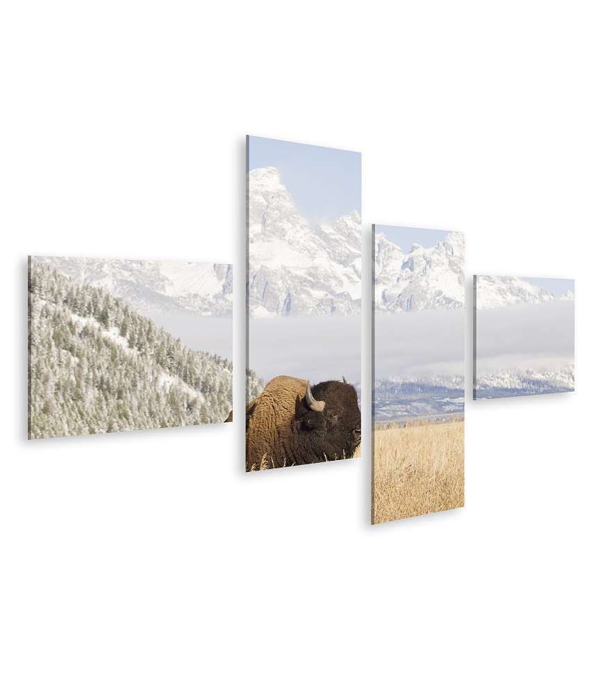 Islandburner Bild auf Leinwand Majestätisches Wandbild eines Bisons vor den Grand Teton Bergen