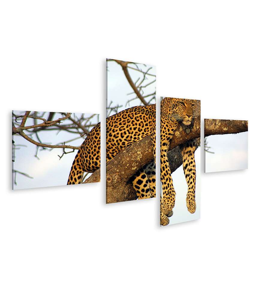 Islandburner Bild auf Leinwand Leopard entspannt faulenzend in eindrucksvollem Wandbild