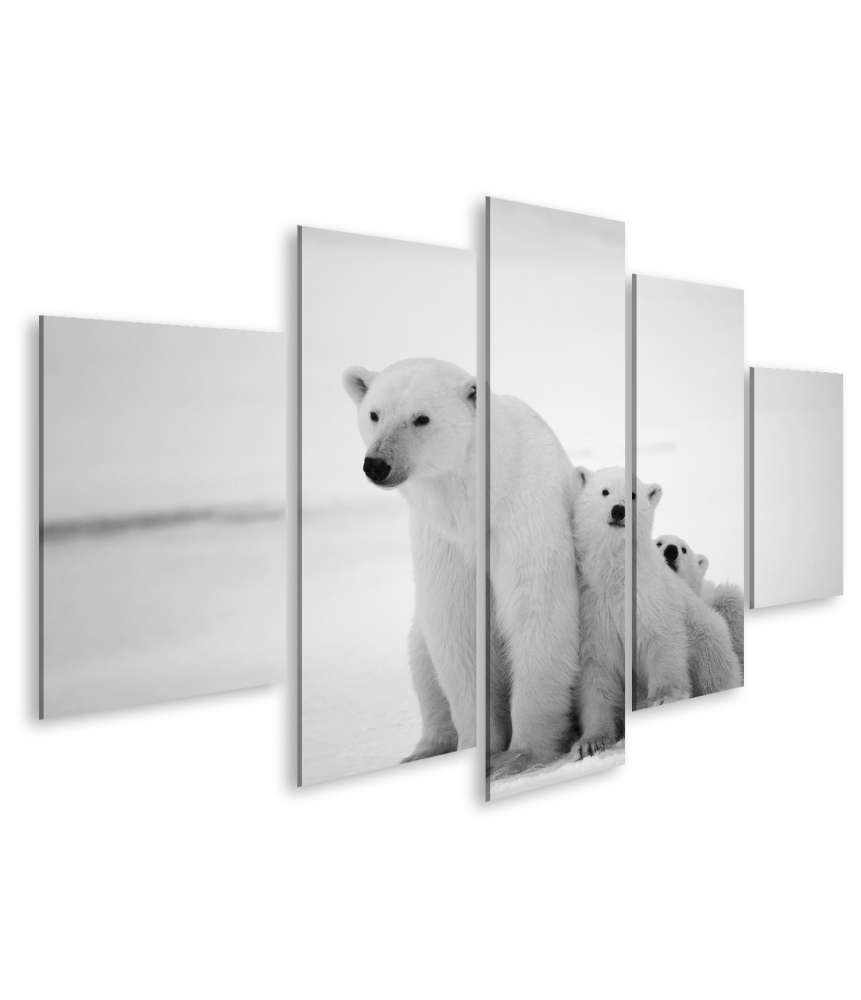 Bild auf Leinwand Eisbär-Mutter mit Jungen in der eisigen Arktis - Polarbär Wandbild