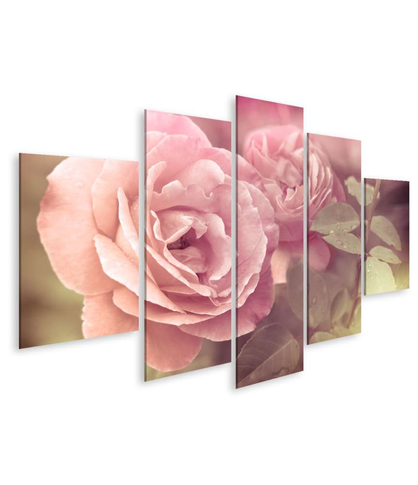 Islandburner Bild auf Leinwand Abstraktes Wandbild mit pastellrosa Rosen und Wassertropfen