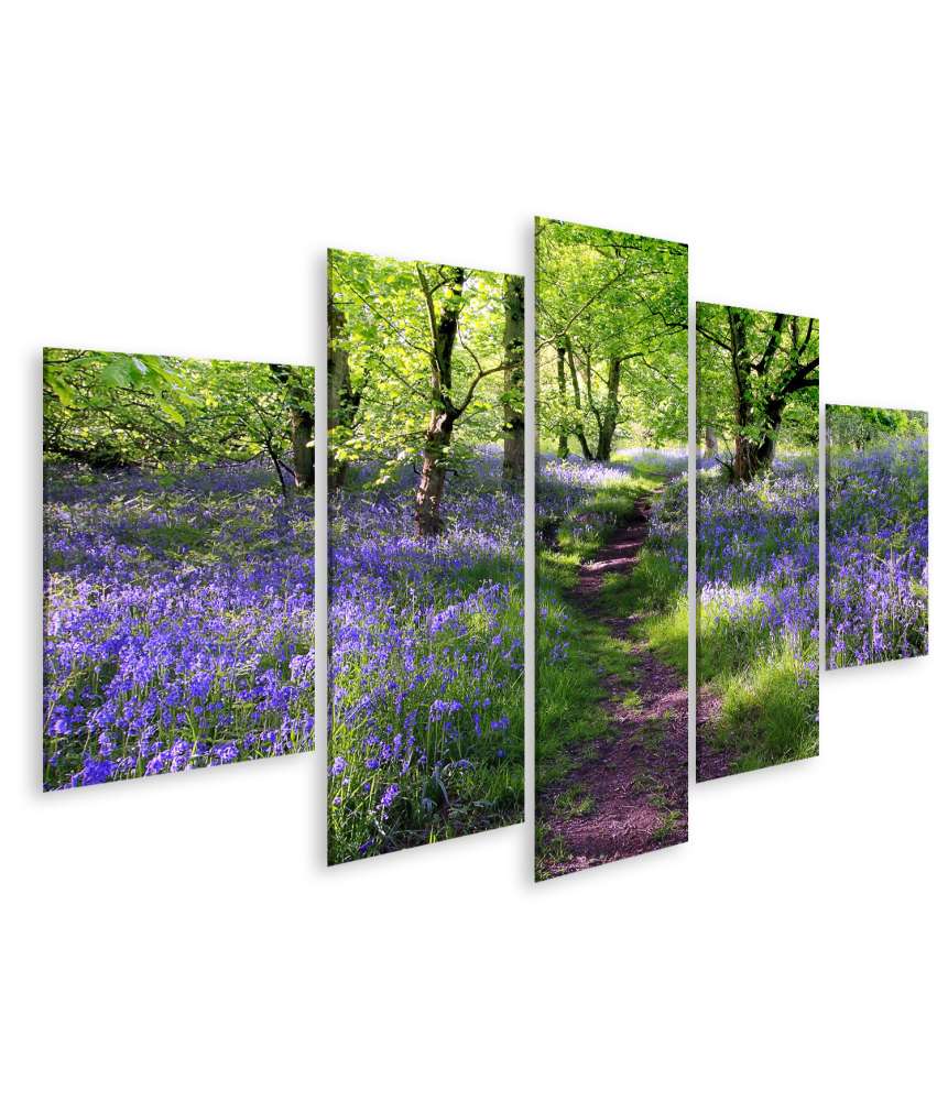 Islandburner Bild auf Leinwand Schottische Wiese mit blauen Glockenblumen - Wandbild