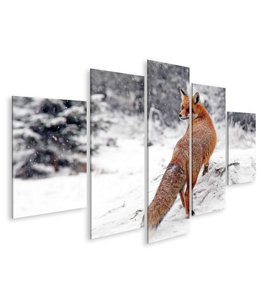 Islandburner Bild auf Leinwand Winterliches Fuchs-Wandbild im Schneewald der Hohen Tatra, Slowakei