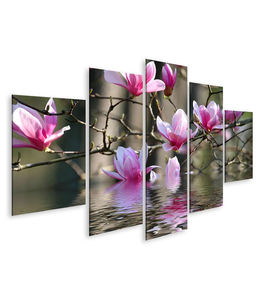 Islandburner Bild auf Leinwand Japanische Magnolienblüten am Wasser Wandbild