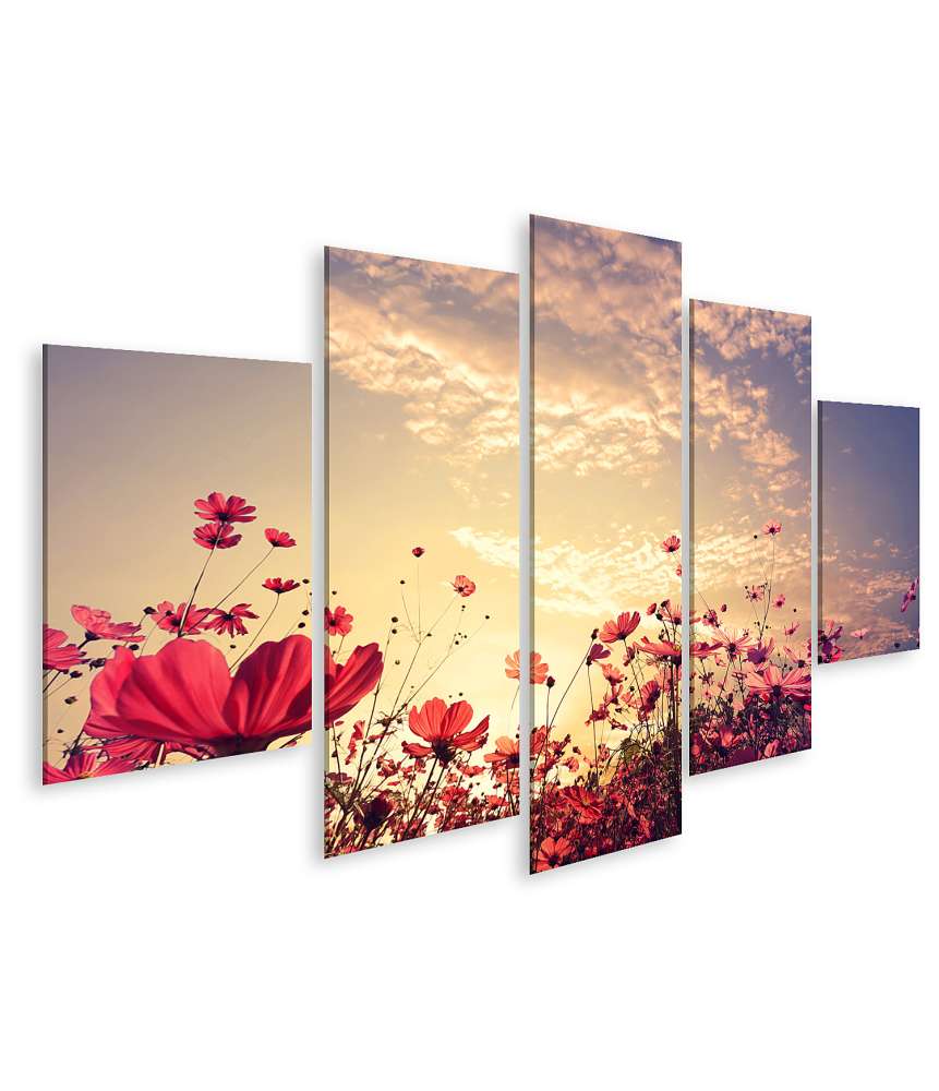 Islandburner Bild auf Leinwand Schönes Wandbild einer sonnigen Landschaft mit roten Kosmos-Blumenfeldern