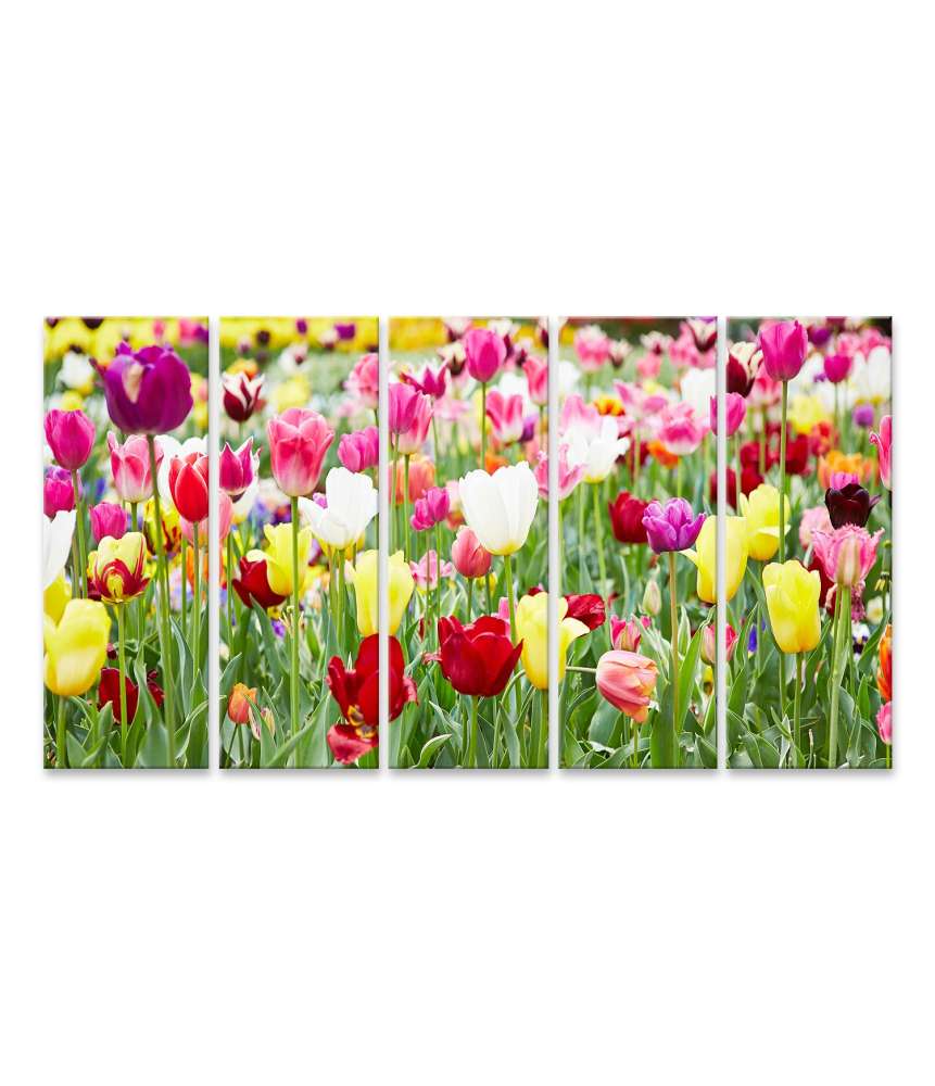 Islandburner Bild auf Leinwand Vielfältige Blumenauswahl mit prächtig blühenden Tulpen als Highlight