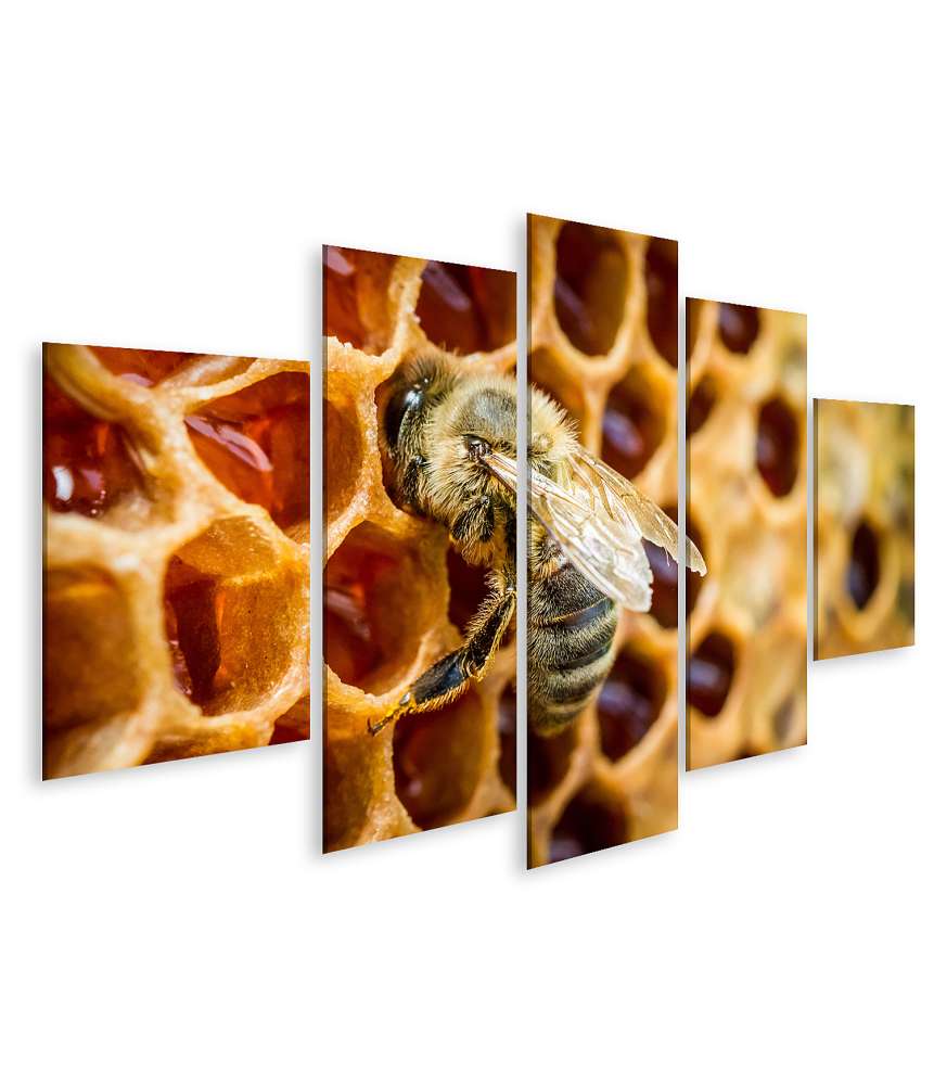 Islandburner Bild auf Leinwand Bienen auf Waben in einem detailreichen Bienenstock-Wandbild