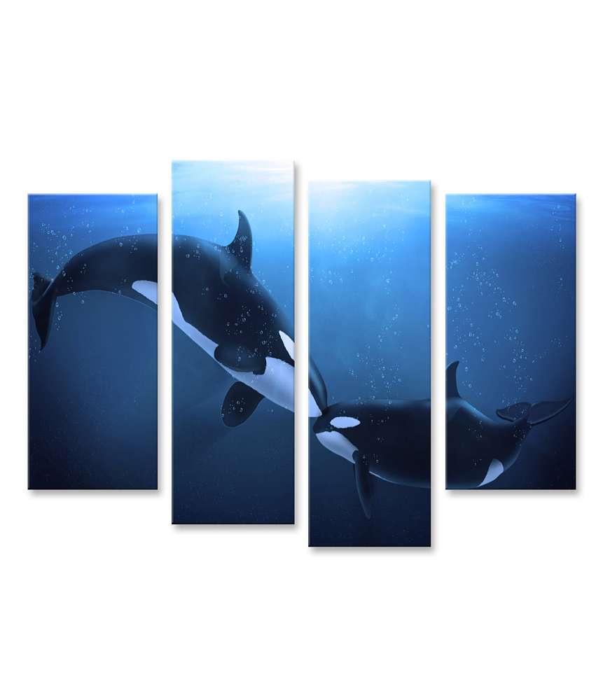 Islandburner Bild auf Leinwand Darstellung sanfter Orcas in liebevoller Interaktion