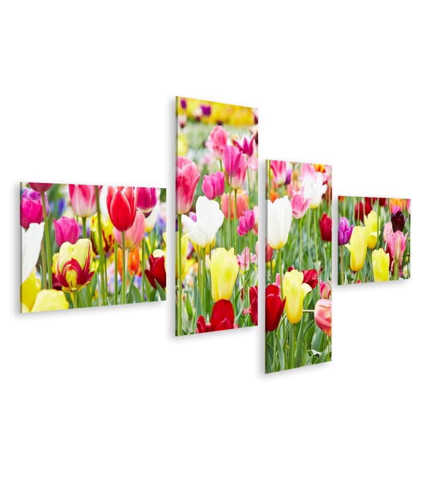 Islandburner Bild auf Leinwand Vielfältige Blumenauswahl mit prächtig blühenden Tulpen als Highlight