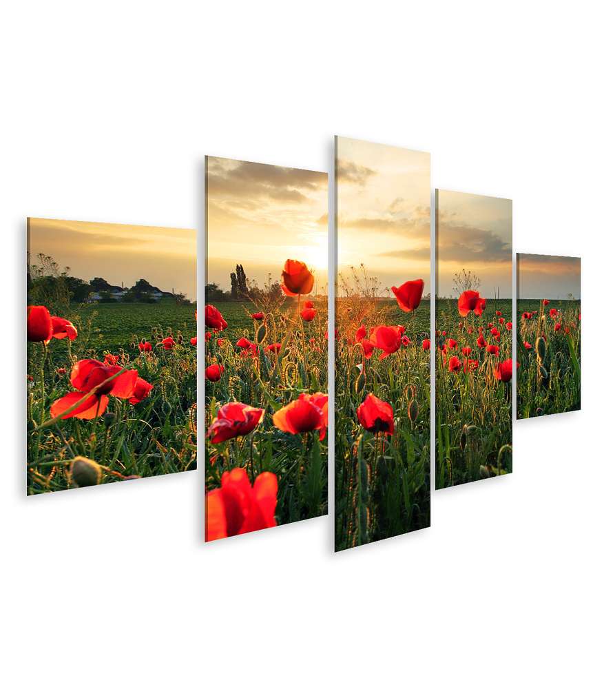 Islandburner Bild auf Leinwand Sonnenuntergang über einem Feld voller Mohnblumen