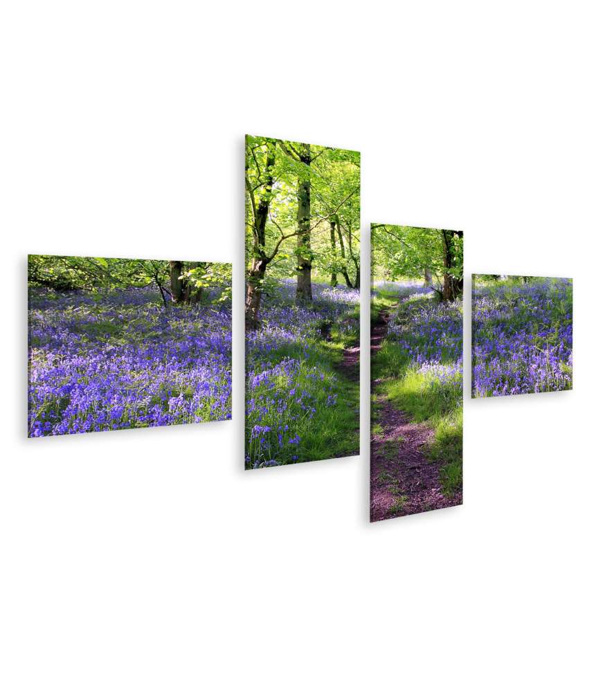 Islandburner Bild auf Leinwand Schottische Wiese mit blauen Glockenblumen - Wandbild