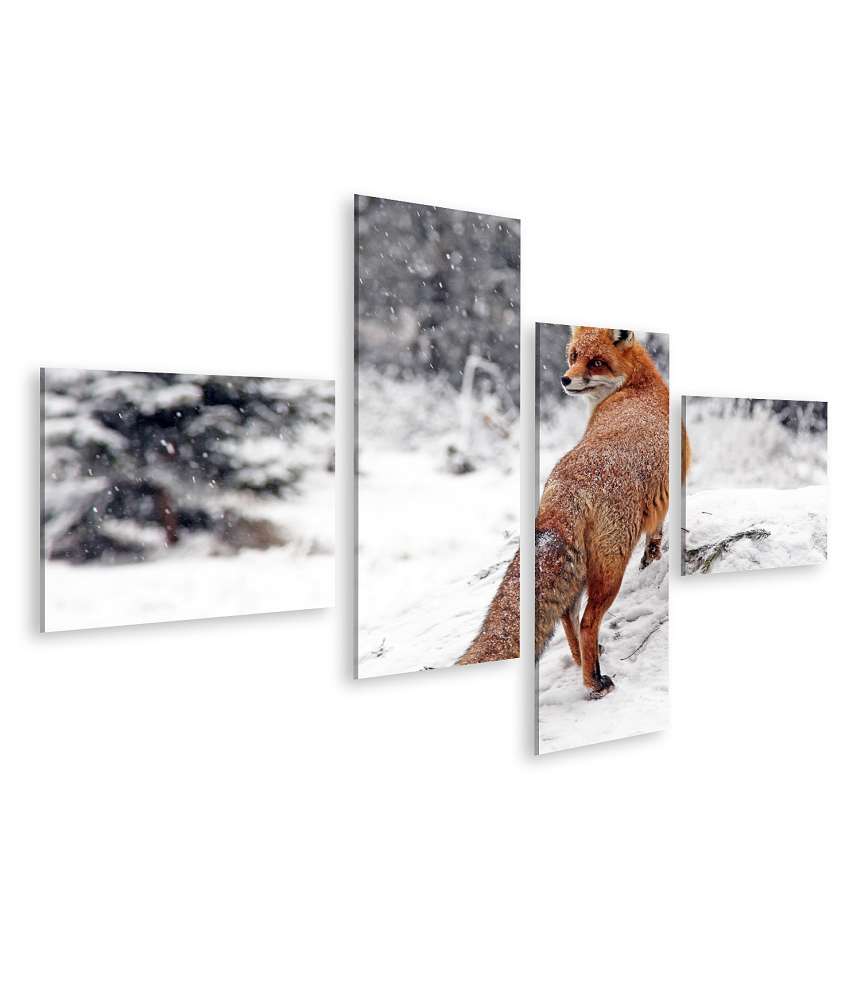 Islandburner Bild auf Leinwand Winterliches Fuchs-Wandbild im Schneewald der Hohen Tatra, Slowakei