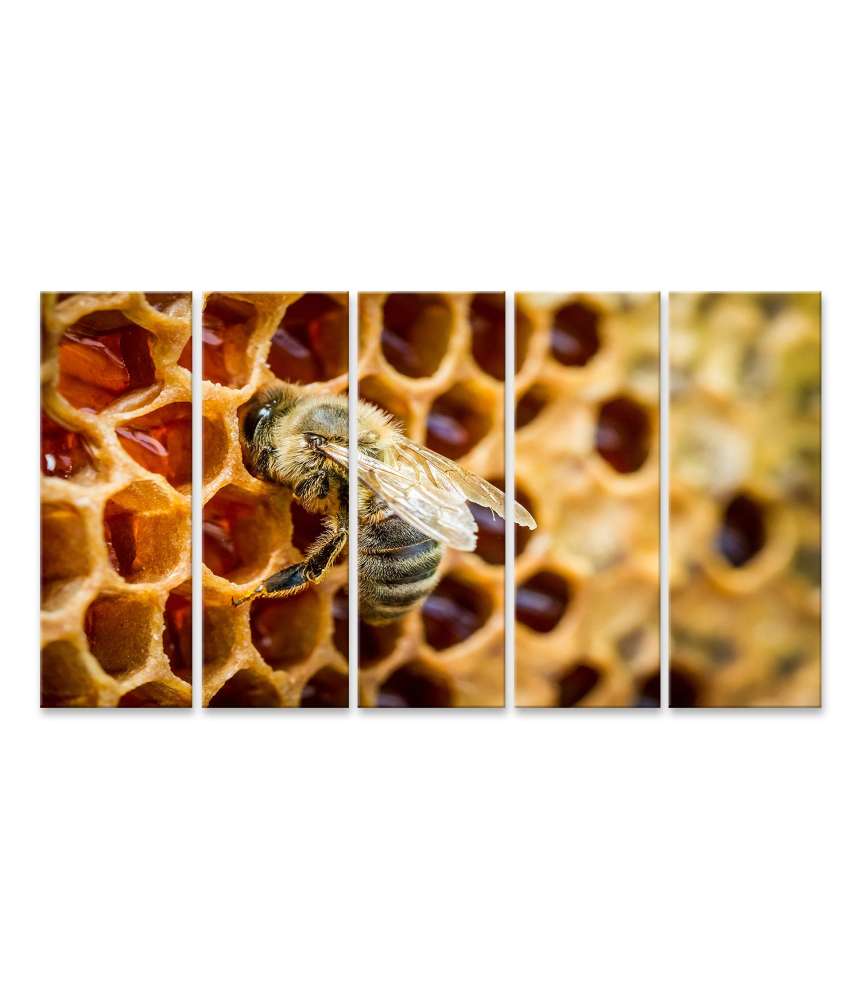 Islandburner Bild auf Leinwand Bienen auf Waben in einem detailreichen Bienenstock-Wandbild