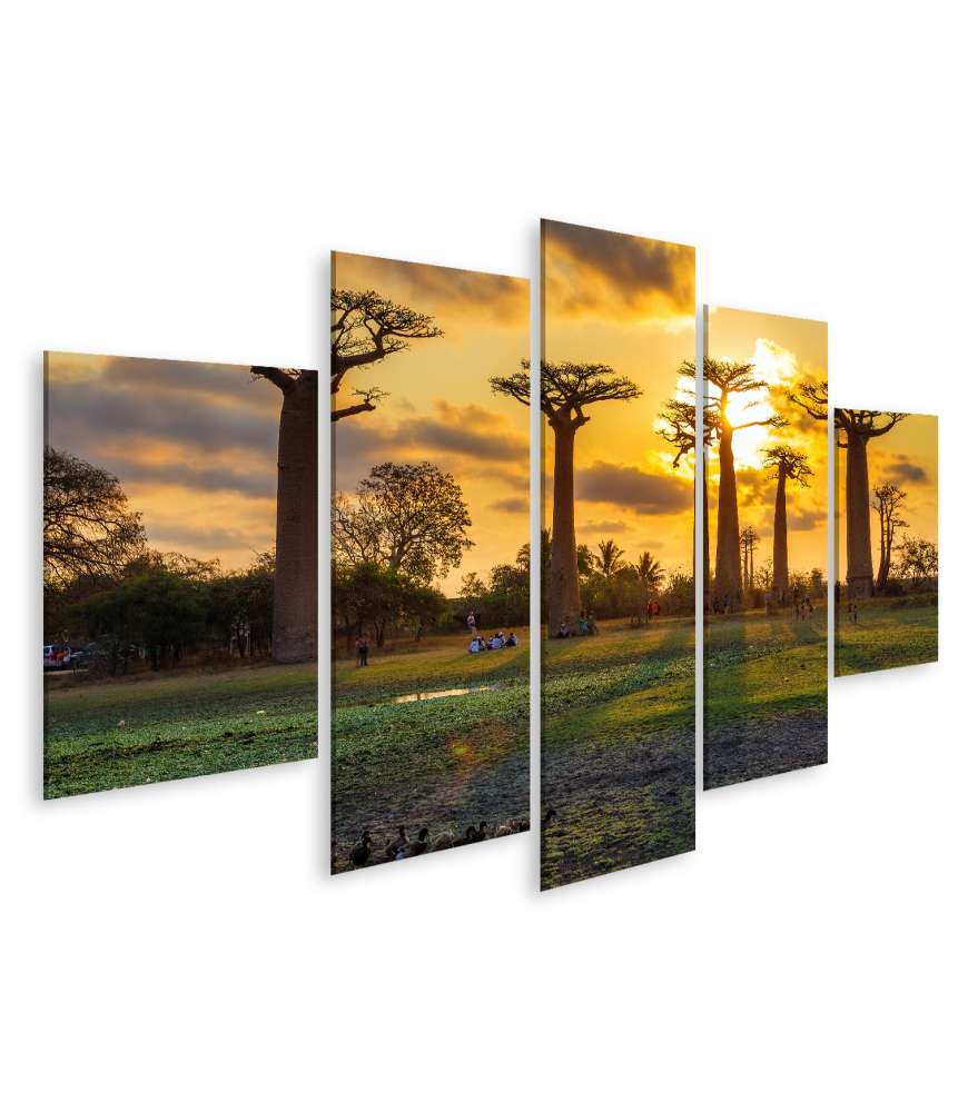 Islandburner Bild auf Leinwand Atemberaubender Sonnenuntergang zwischen Baobabs in Madagaskar