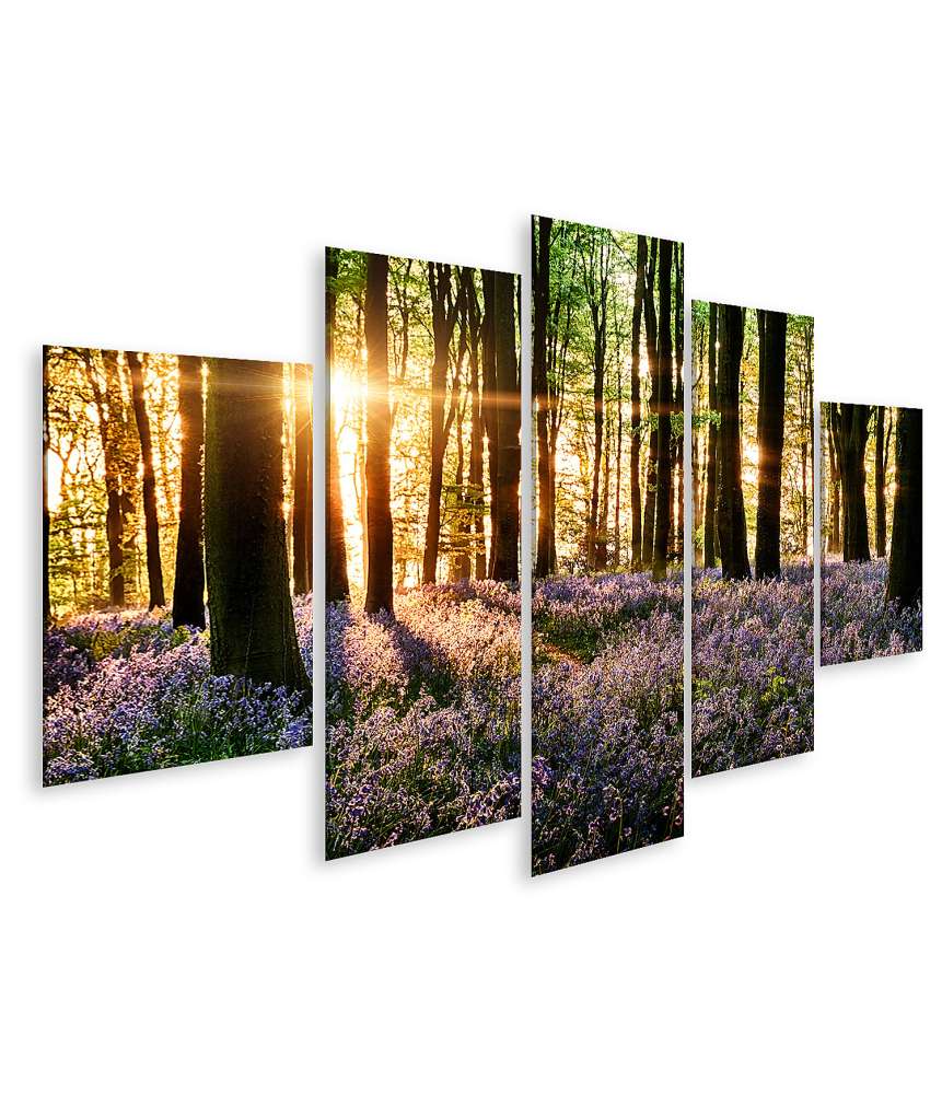 Islandburner Bild auf Leinwand Morgenlicht erweckt blühende Glockenblumen im Wald zum Leben