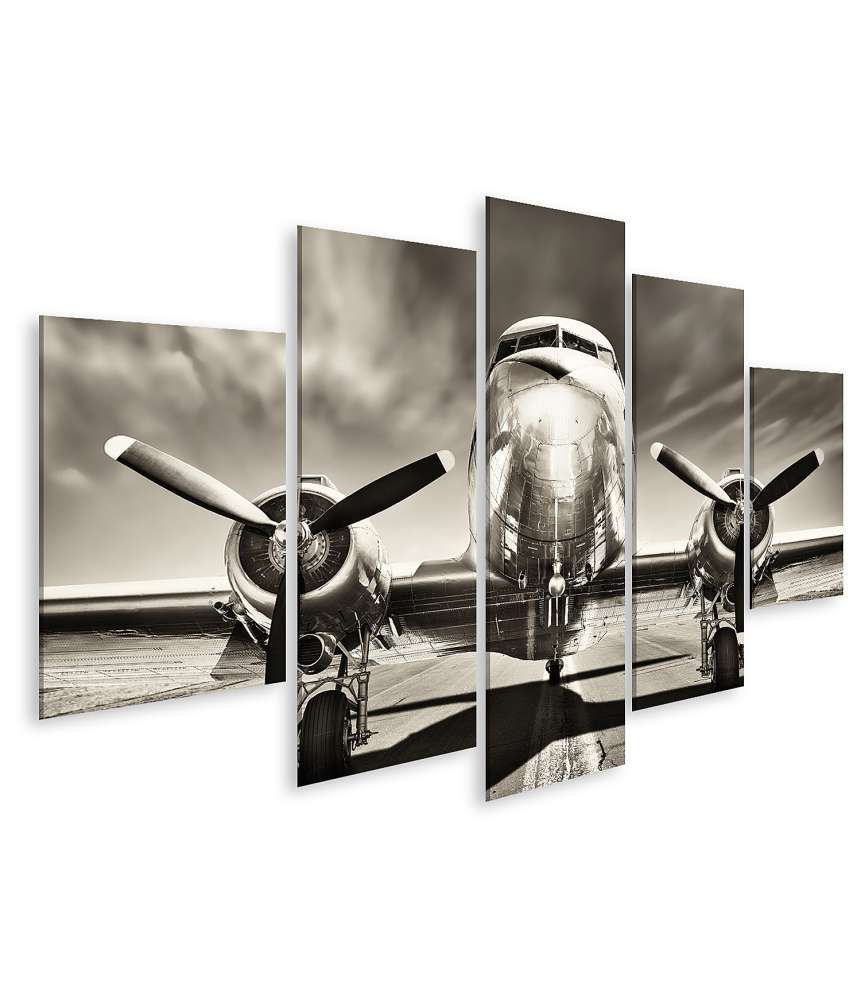 Islandburner Bild auf Leinwand Monochromes Retro-Wandbild eines Propellerflugzeugs