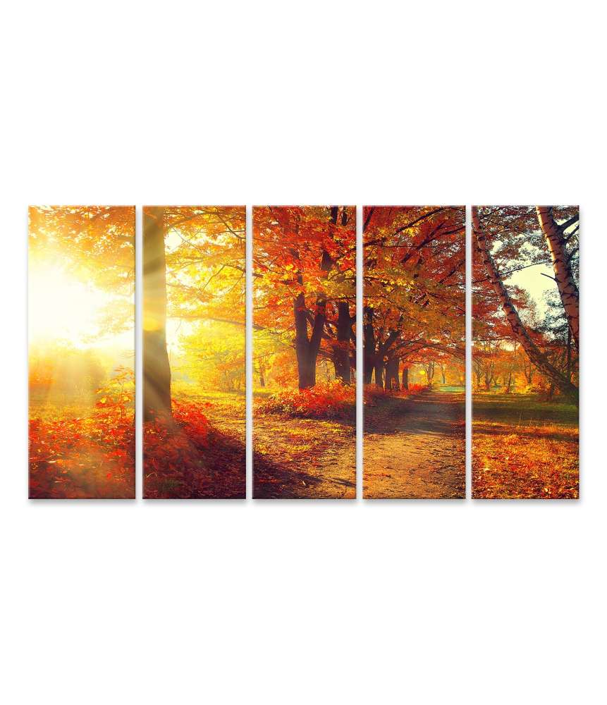 Islandburner Bild auf Leinwand Herbstpark mit sonnenbeschienenen, herbstlich gefärbten Bäumen und Blättern