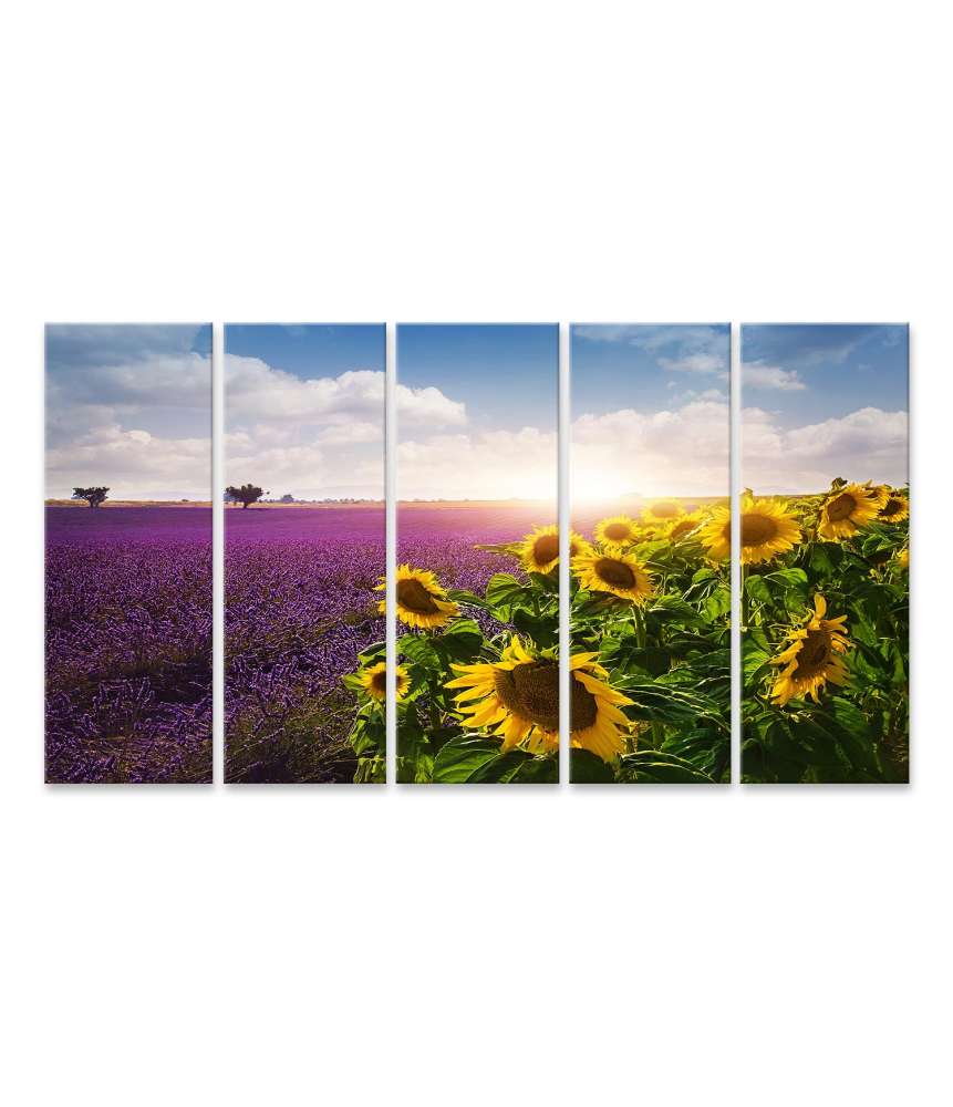 Islandburner Bild auf Leinwand Lavendel- und Sonnenblumenfelder in der Provence Wandbild