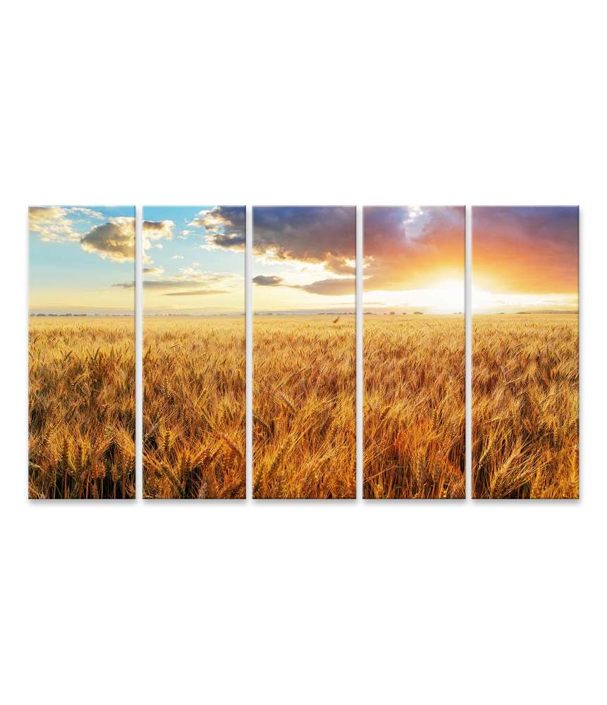 Bild auf Leinwand Stimmungsvoller Sonnenuntergang über goldenem Weizenfeld
