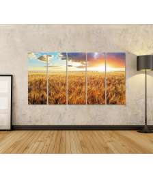 Bild auf Leinwand Stimmungsvoller Sonnenuntergang über goldenem Weizenfeld