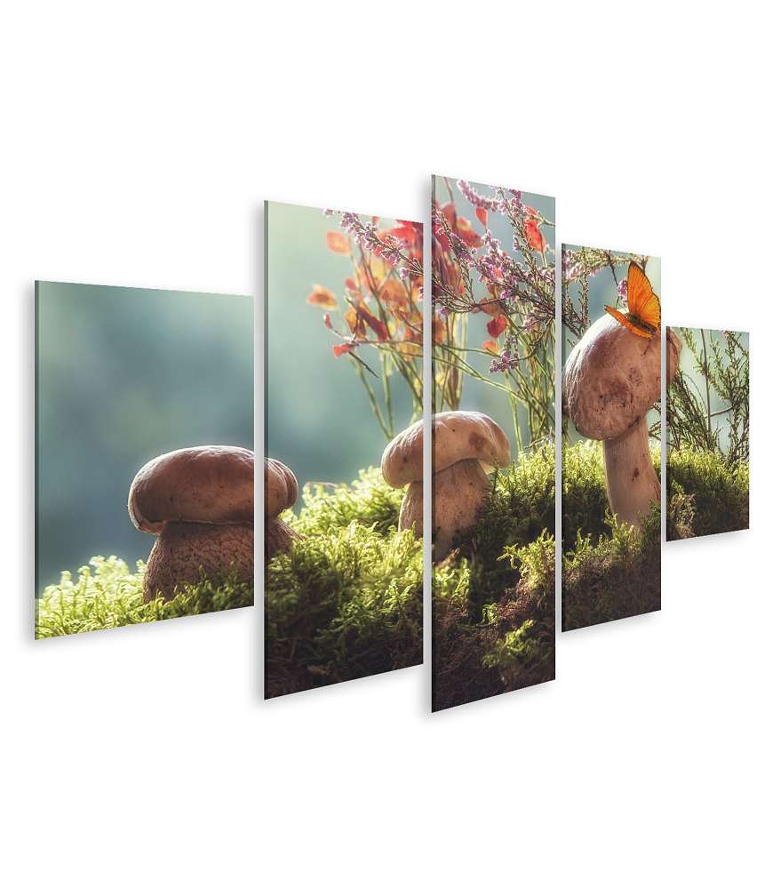 Islandburner Bild auf Leinwand Herbstliches Stillleben mit Pilzen und Blumen: Waldkunst Fotografie Wandbild