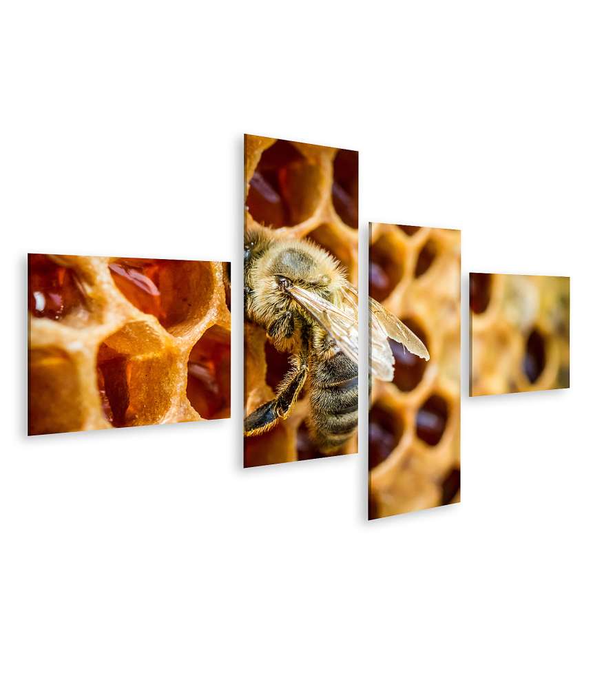 Islandburner Bild auf Leinwand Bienen auf Waben in einem detailreichen Bienenstock-Wandbild