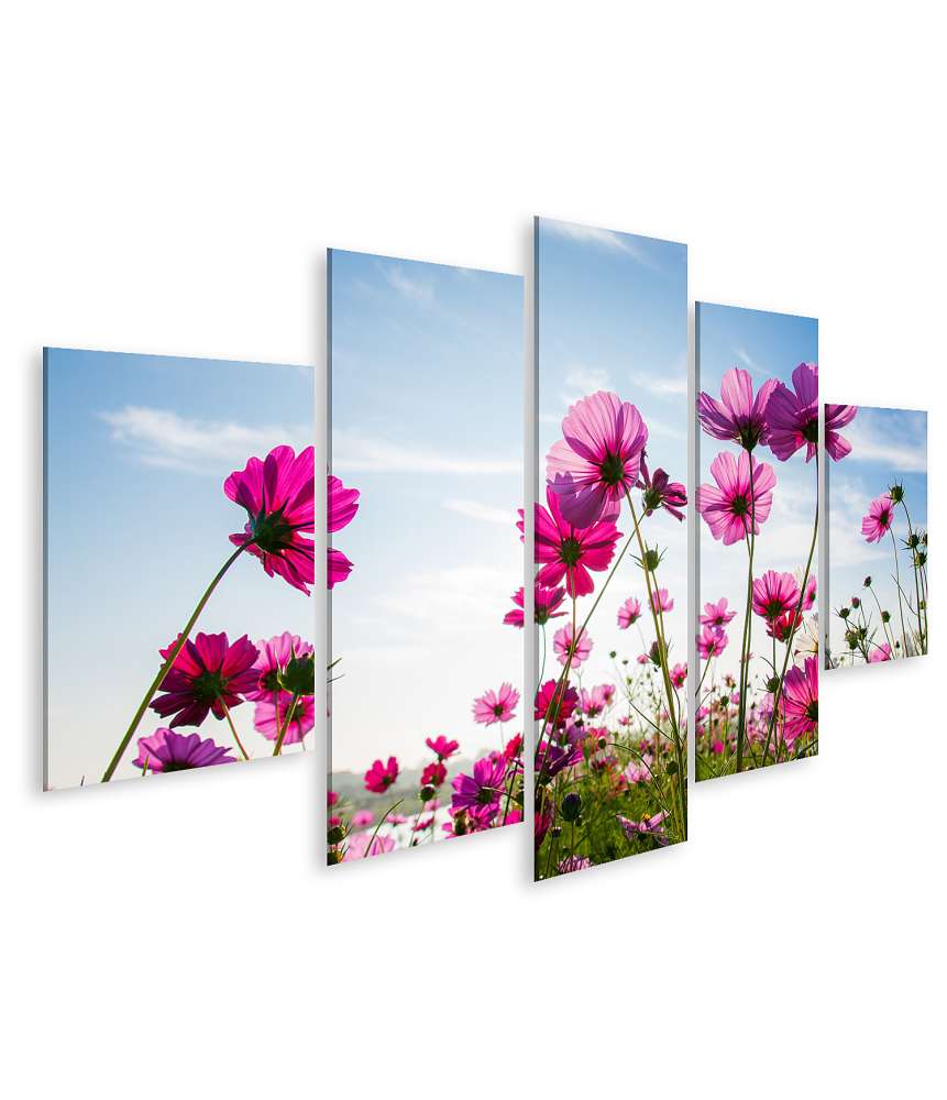 Islandburner Bild auf Leinwand Blumenfeld in Pink unter strahlend blauem Himmel