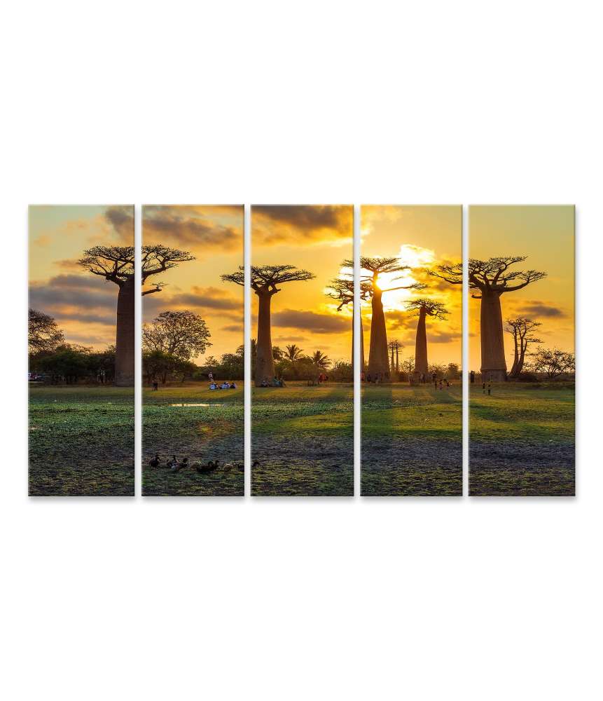 Islandburner Bild auf Leinwand Atemberaubender Sonnenuntergang zwischen Baobabs in Madagaskar