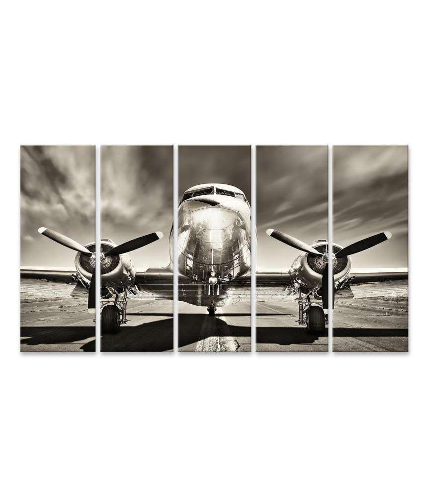 Islandburner Bild auf Leinwand Monochromes Retro-Wandbild eines Propellerflugzeugs