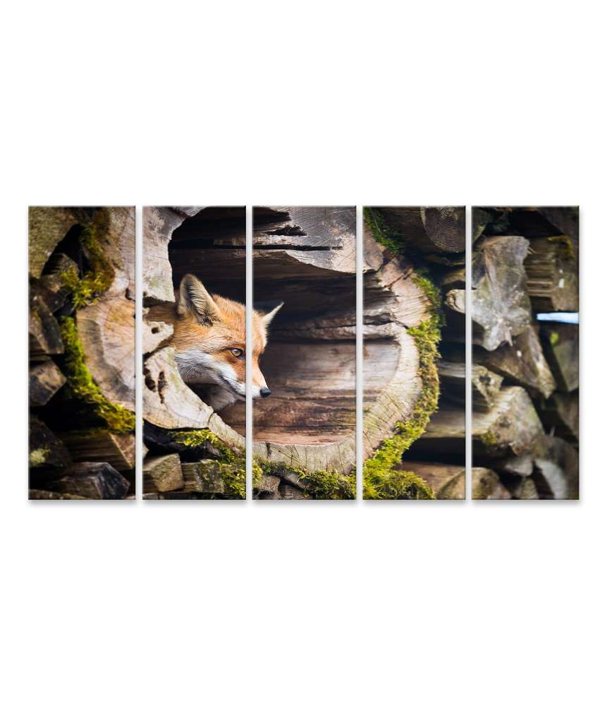 Islandburner Bild auf Leinwand Farbenfrohes Wandbild eines Rotfuchses (Vulpes Vulpes) in natürlicher Umgebung