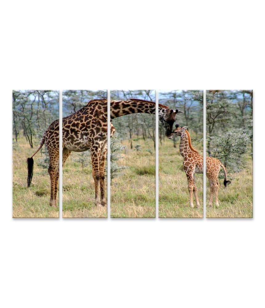 Islandburner Bild auf Leinwand Mutter und Baby Giraffe liebevoll in natürlicher Umgebung dargestellt