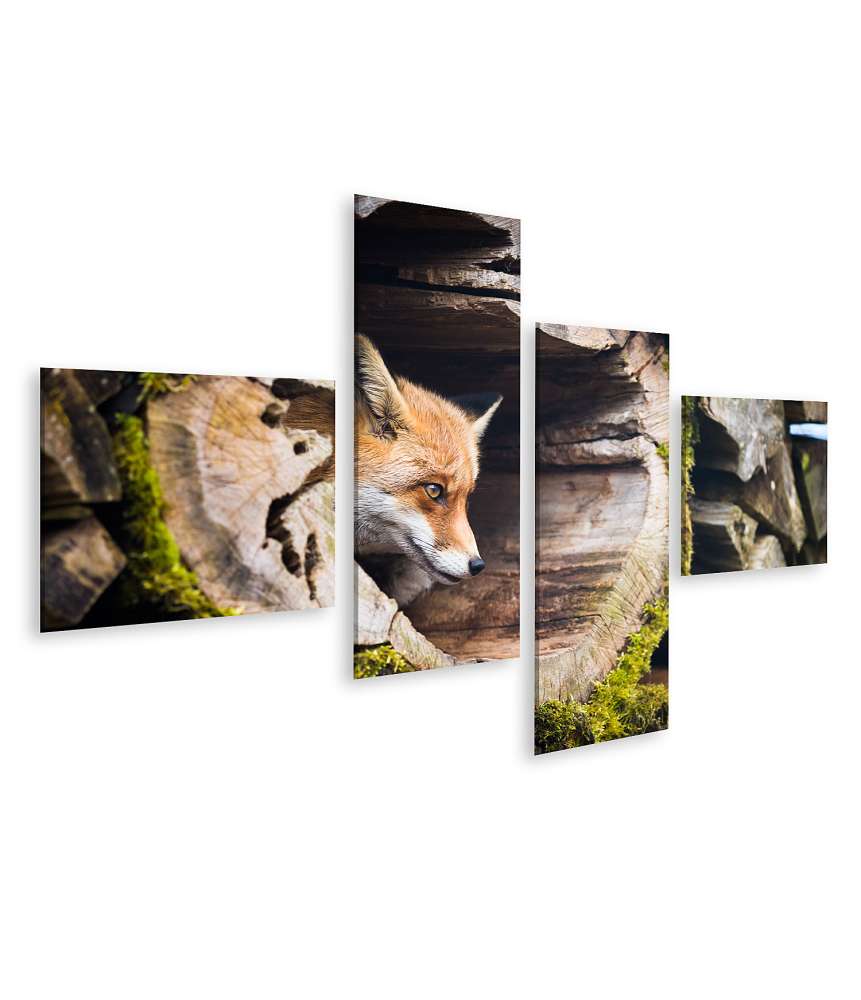 Islandburner Bild auf Leinwand Farbenfrohes Wandbild eines Rotfuchses (Vulpes Vulpes) in natürlicher Umgebung