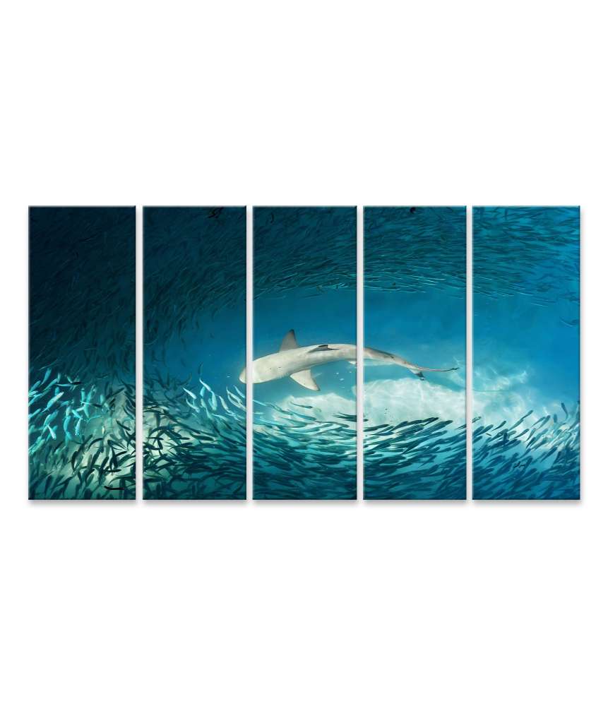 Islandburner Bild auf Leinwand Haie und kleine Fische im natürlichen Ozean-Hintergrund Wandbild