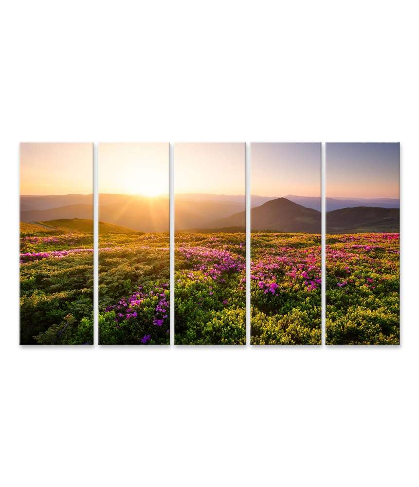 Bild auf Leinwand Sonnenaufgang über blühenden Blumen und Berghügeln in natürlicher Landschaft