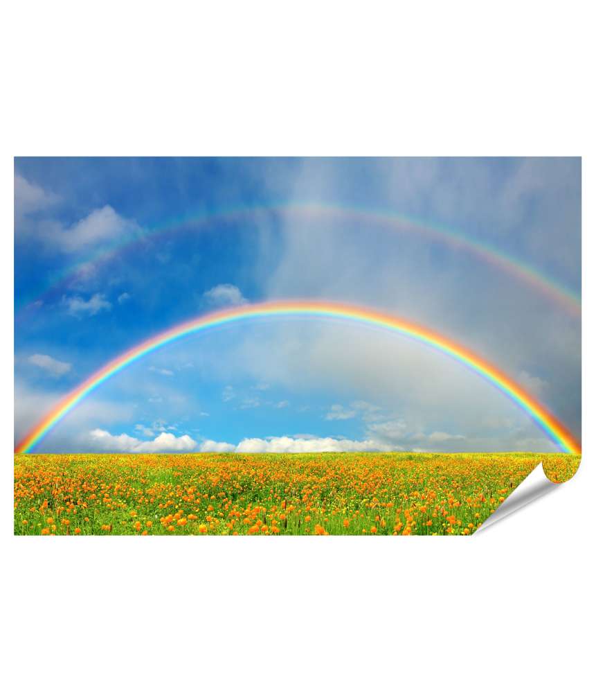 Islandburner XXL Premium Poster Idyllische Landschaft mit blühendem Feld und farbenprächtigem Regenbogen