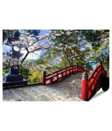 Premium Poster Sakura-Blüten am japanischen Tempel mit roter Brücke