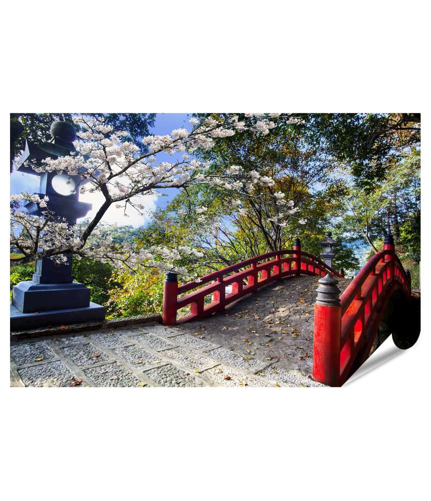 Islandburner Premium Poster Sakura-Blüten am japanischen Tempel mit roter Brücke