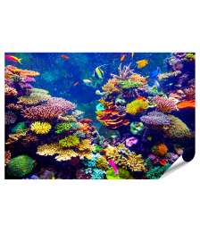 Premium Poster Sonnenlicht beschienenes Korallenriff mit tropischen Fischen im Singapur Aquarium