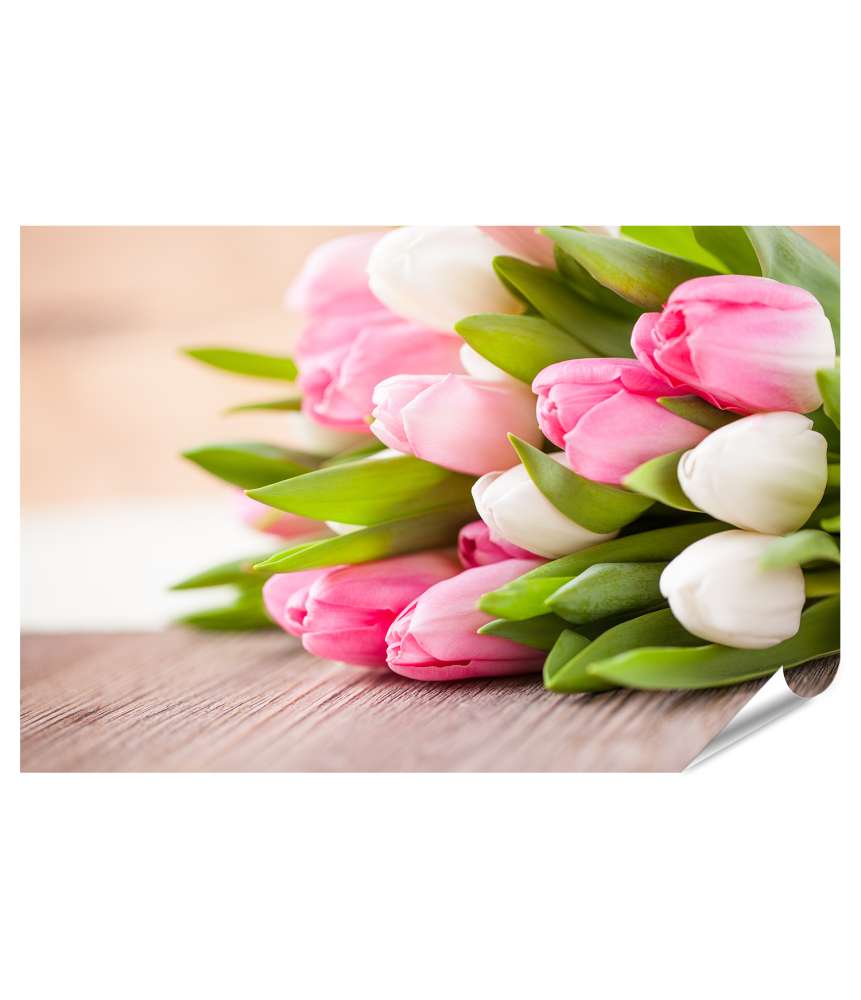 Islandburner Premium Poster Ein Strauß rosa-weißer Tulpen auf einem Tisch, elegant dargestellt