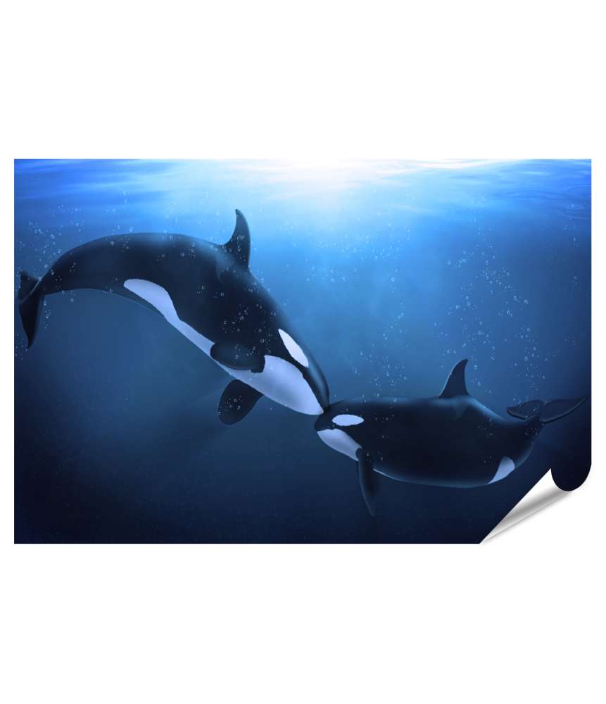 Islandburner Premium Poster Tiefsee-Wandbild mit Orca-Walen