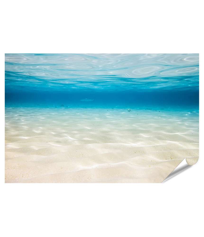 Islandburner Premium Poster Unterwasserlagune mit sandigem Meeresgrund