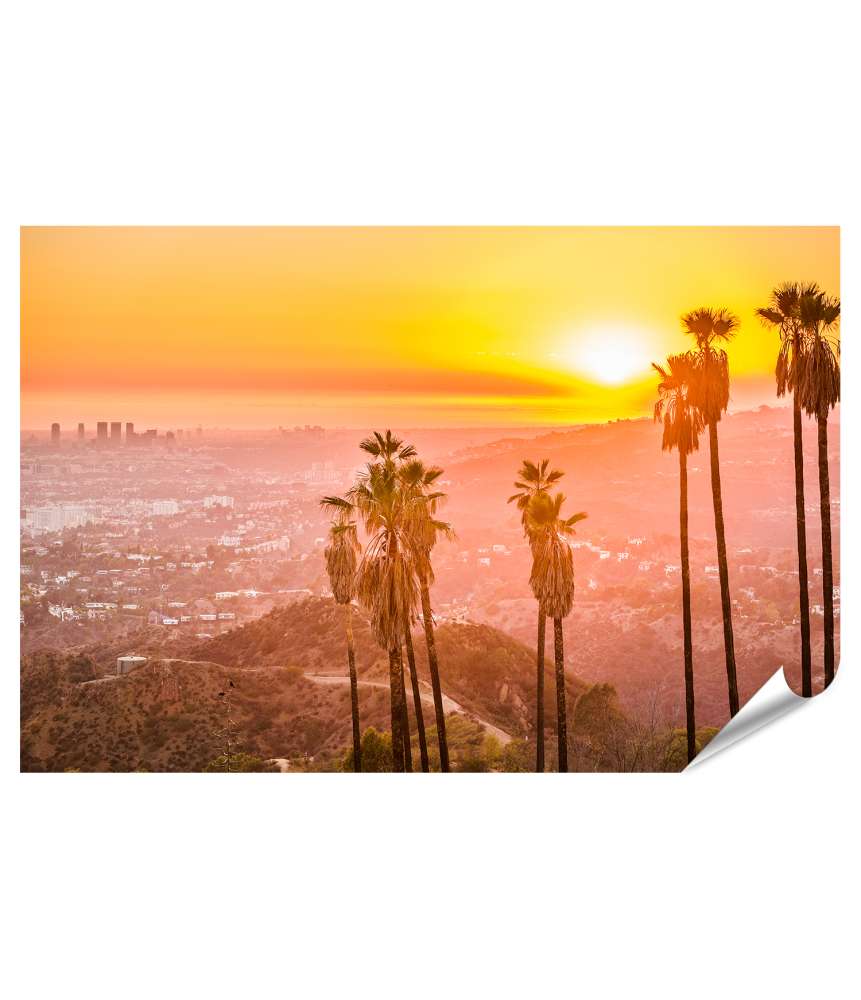 Islandburner Premium Poster Wandbild in Griffith Park, Los Angeles, Kalifornien, USA