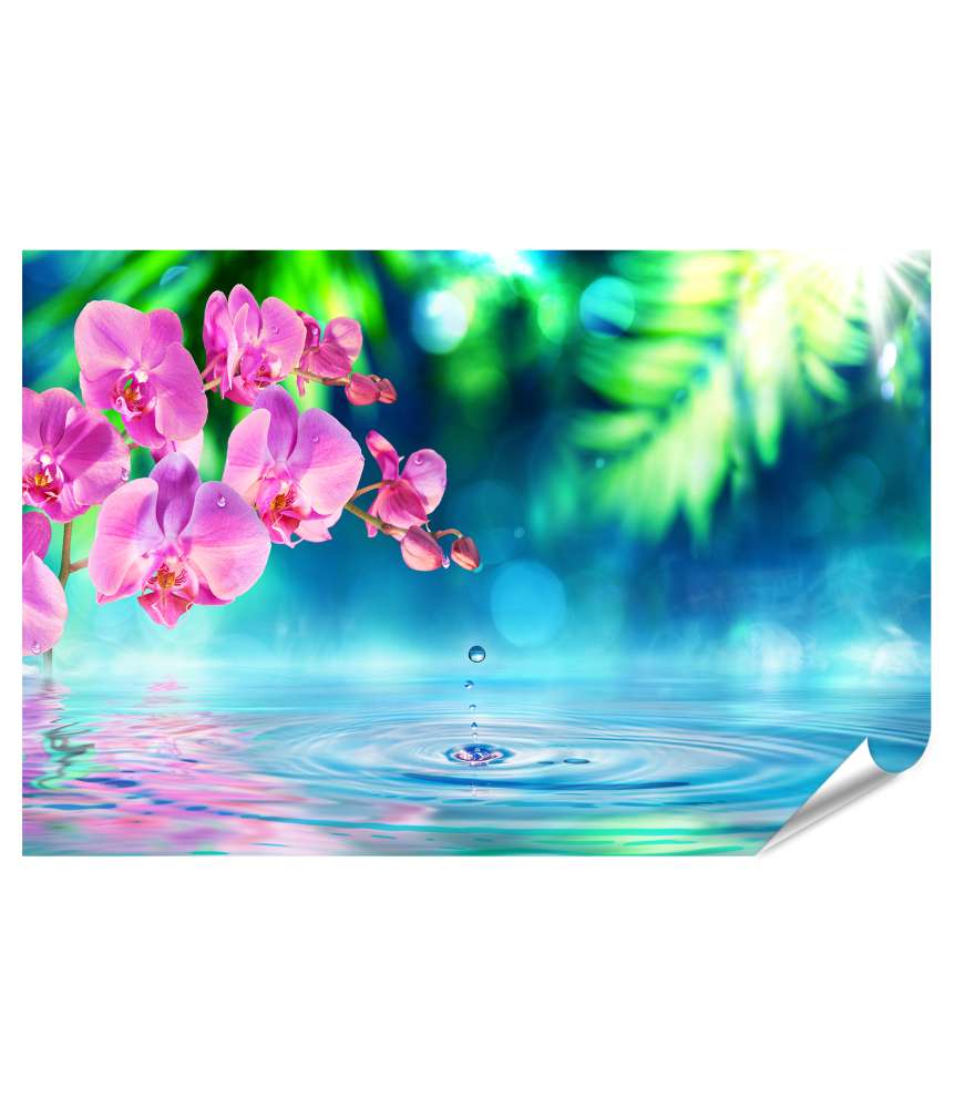 Islandburner Premium Poster Orchidee im Zen-Garten mit Teich und funkelnden Wassertropfen