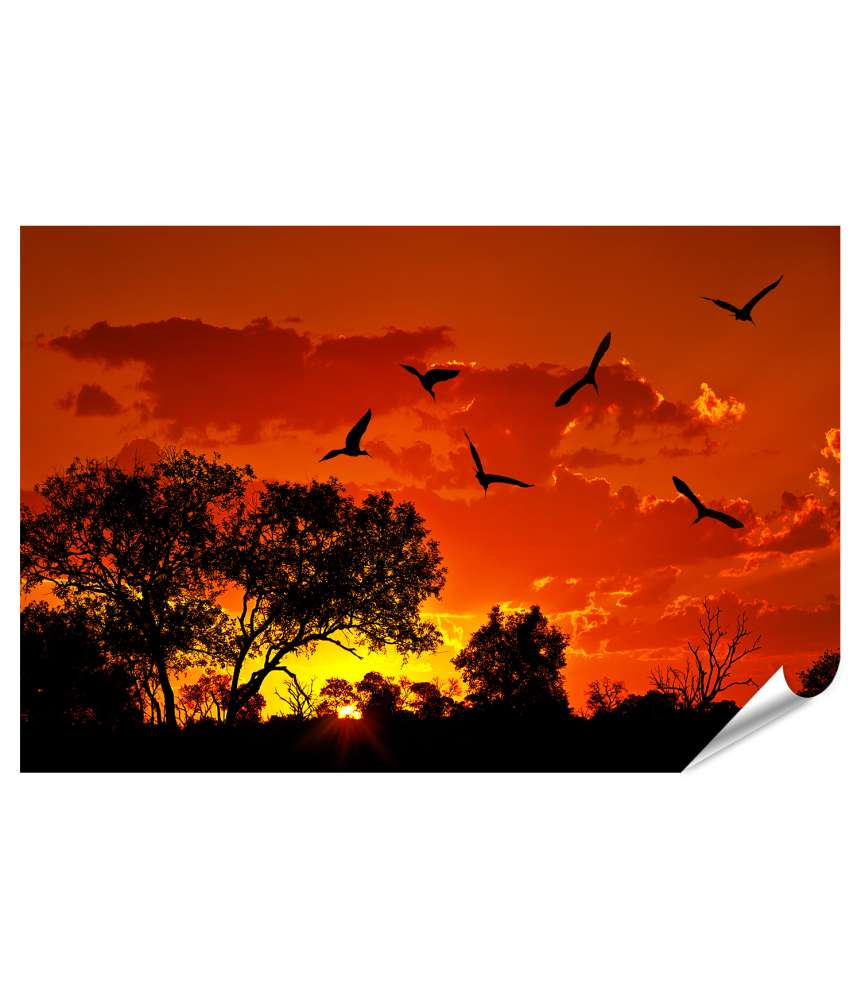 Islandburner Premium Poster Afrikanische Landschaft bei warmem Sonnenuntergang