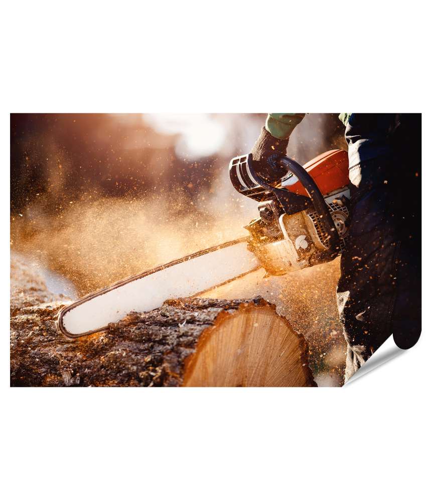 Premium Poster Mann bedient Kettensäge, die Holz durchtrennt, umgeben von Sägespänen